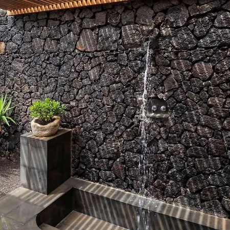 Hotel Meliá Salinas - Adults Recommended 5*